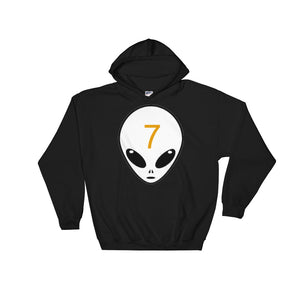 Hooded Sweatshirt